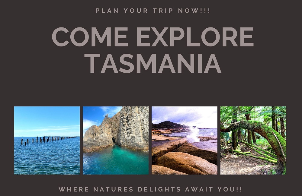 Graphic of Tasmanian nature