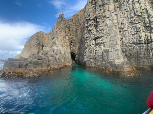 Pictur from the Bruny Island Cruise on a must do one day tour