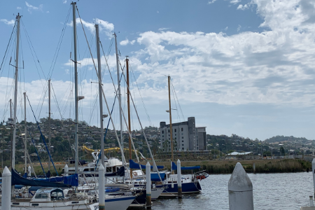 Picture of Launceston Marina with Peppers Silo in the background