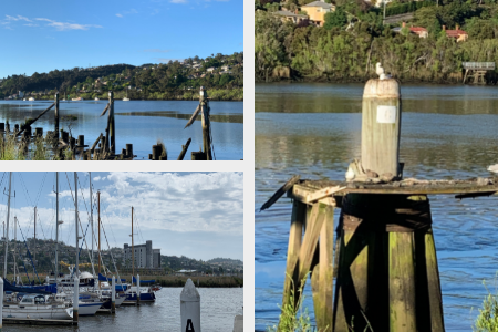 Images of the Tamar River