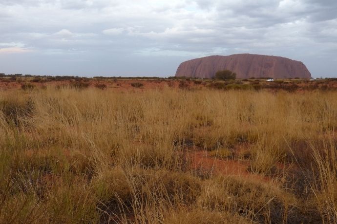 Image of Uluru - Canva