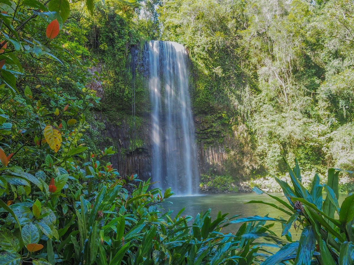 Atherton tablelands - Millaa Millaa Falls 