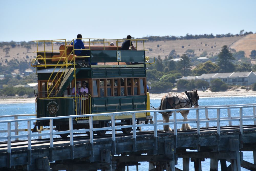 Image of Victor Harbor Horse Drawn Tram Curious Campers