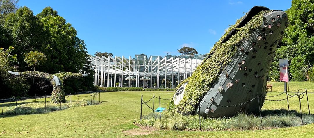 Image at Royal Botanic Gardens for your ultimate Sydney itinerary